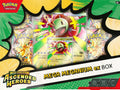 Ascended Hero's Mega Ex Box